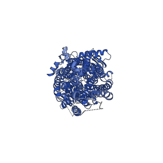 9230_6msm_A_v1-3
Phosphorylated, ATP-bound human cystic fibrosis transmembrane conductance regulator (CFTR)