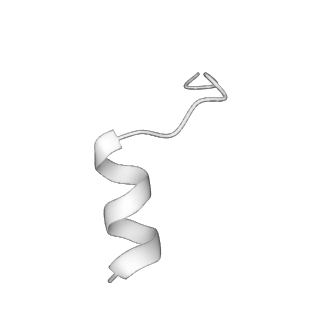 9230_6msm_B_v1-3
Phosphorylated, ATP-bound human cystic fibrosis transmembrane conductance regulator (CFTR)