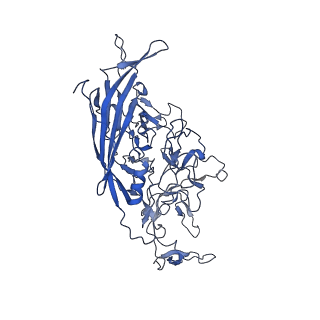 23973_7mt0_7_v1-2
Structure of the adeno-associated virus 9 capsid at pH 7.4