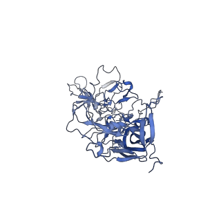 23973_7mt0_D_v1-2
Structure of the adeno-associated virus 9 capsid at pH 7.4