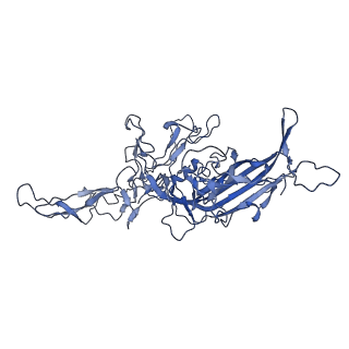 23973_7mt0_E_v1-2
Structure of the adeno-associated virus 9 capsid at pH 7.4