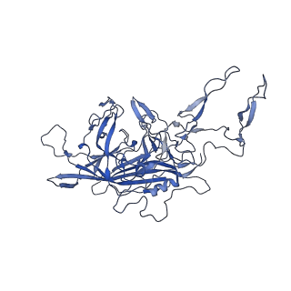 23973_7mt0_G_v1-2
Structure of the adeno-associated virus 9 capsid at pH 7.4