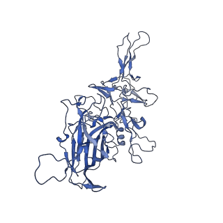 23973_7mt0_J_v1-2
Structure of the adeno-associated virus 9 capsid at pH 7.4