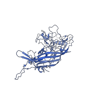 23973_7mt0_O_v1-2
Structure of the adeno-associated virus 9 capsid at pH 7.4