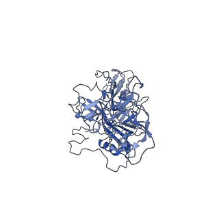 23973_7mt0_Q_v1-2
Structure of the adeno-associated virus 9 capsid at pH 7.4