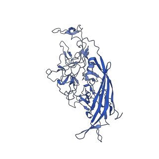 23973_7mt0_T_v1-2
Structure of the adeno-associated virus 9 capsid at pH 7.4