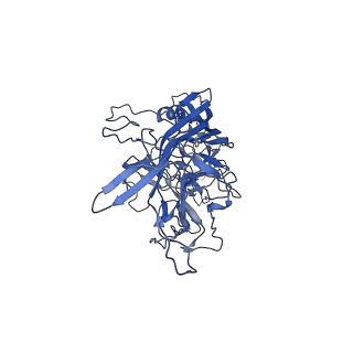 23973_7mt0_c_v1-2
Structure of the adeno-associated virus 9 capsid at pH 7.4