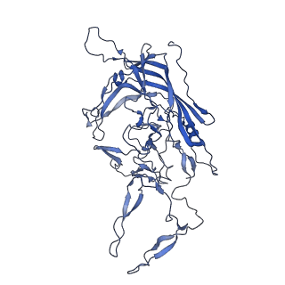 23973_7mt0_d_v1-2
Structure of the adeno-associated virus 9 capsid at pH 7.4