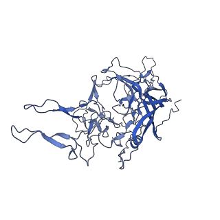 23973_7mt0_f_v1-2
Structure of the adeno-associated virus 9 capsid at pH 7.4