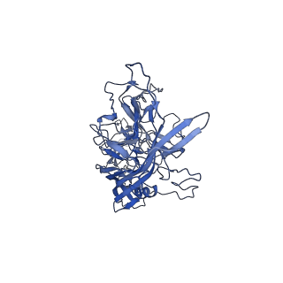 23973_7mt0_i_v1-2
Structure of the adeno-associated virus 9 capsid at pH 7.4
