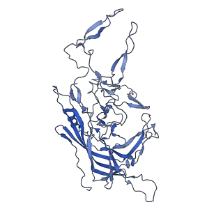 23973_7mt0_j_v1-2
Structure of the adeno-associated virus 9 capsid at pH 7.4