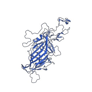 23973_7mt0_l_v1-2
Structure of the adeno-associated virus 9 capsid at pH 7.4