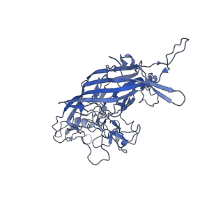 23973_7mt0_o_v1-2
Structure of the adeno-associated virus 9 capsid at pH 7.4