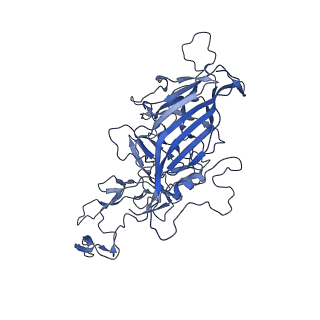 23973_7mt0_s_v1-2
Structure of the adeno-associated virus 9 capsid at pH 7.4