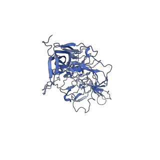 23973_7mt0_t_v1-2
Structure of the adeno-associated virus 9 capsid at pH 7.4