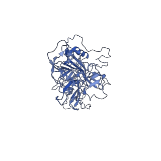 23973_7mt0_w_v1-2
Structure of the adeno-associated virus 9 capsid at pH 7.4