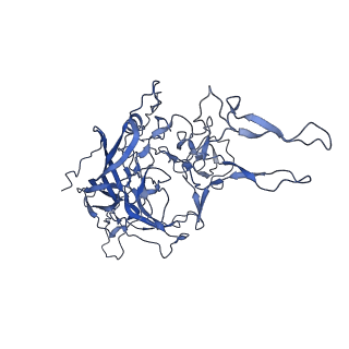 23973_7mt0_z_v1-2
Structure of the adeno-associated virus 9 capsid at pH 7.4