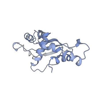 23975_7mt3_F_v1-1
Mtb 70S with P/E tRNA