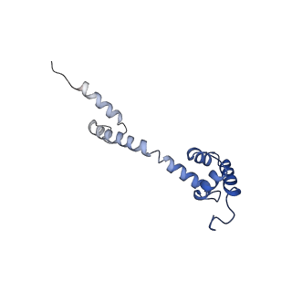 23975_7mt3_Q_v1-1
Mtb 70S with P/E tRNA