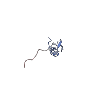 23976_7mt7_0_v1-1
Mtb 70S with P and E site tRNAs