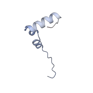 23976_7mt7_2_v1-1
Mtb 70S with P and E site tRNAs