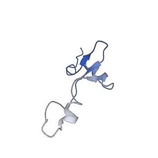 23976_7mt7_3_v1-1
Mtb 70S with P and E site tRNAs