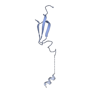 23976_7mt7_6_v1-1
Mtb 70S with P and E site tRNAs