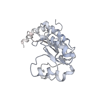 23976_7mt7_8_v1-1
Mtb 70S with P and E site tRNAs