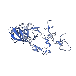 23976_7mt7_C_v1-1
Mtb 70S with P and E site tRNAs