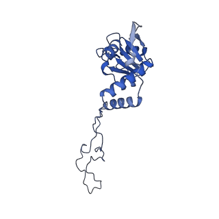 23976_7mt7_E_v1-1
Mtb 70S with P and E site tRNAs