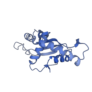 23976_7mt7_F_v1-1
Mtb 70S with P and E site tRNAs