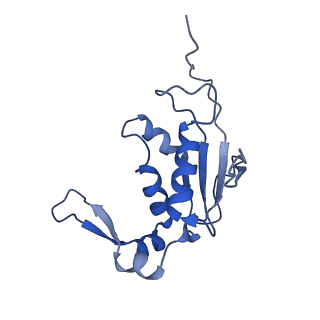 23976_7mt7_J_v1-1
Mtb 70S with P and E site tRNAs