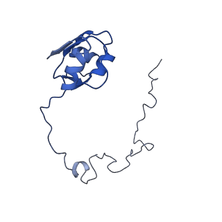 23976_7mt7_L_v1-1
Mtb 70S with P and E site tRNAs