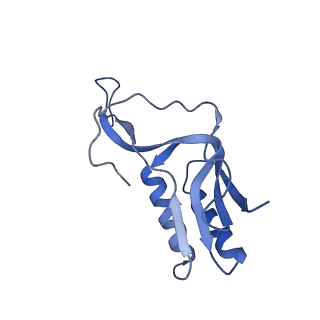 23976_7mt7_M_v1-1
Mtb 70S with P and E site tRNAs