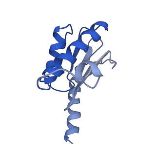 23976_7mt7_O_v1-1
Mtb 70S with P and E site tRNAs