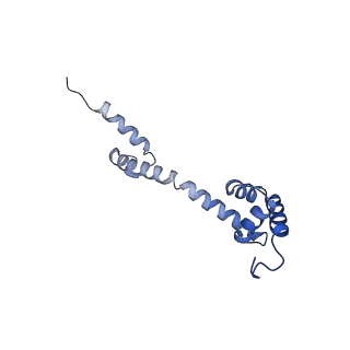 23976_7mt7_Q_v1-1
Mtb 70S with P and E site tRNAs