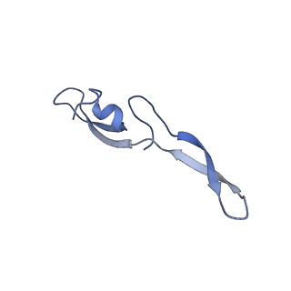 23976_7mt7_X_v1-1
Mtb 70S with P and E site tRNAs