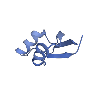23976_7mt7_Z_v1-1
Mtb 70S with P and E site tRNAs