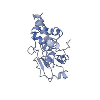 23976_7mt7_d_v1-1
Mtb 70S with P and E site tRNAs