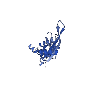 23976_7mt7_e_v1-1
Mtb 70S with P and E site tRNAs