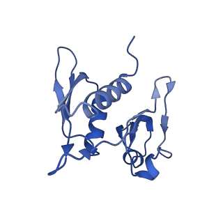 23976_7mt7_h_v1-1
Mtb 70S with P and E site tRNAs