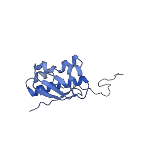 23976_7mt7_i_v1-1
Mtb 70S with P and E site tRNAs