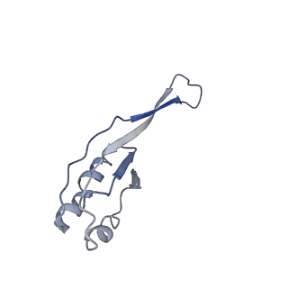23976_7mt7_j_v1-1
Mtb 70S with P and E site tRNAs