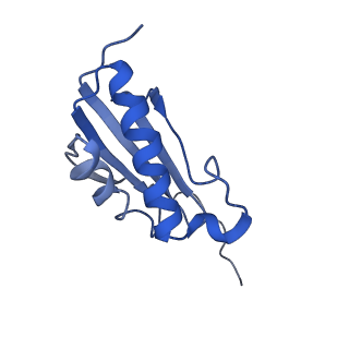 23976_7mt7_k_v1-1
Mtb 70S with P and E site tRNAs