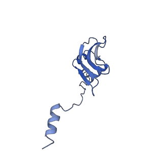 23976_7mt7_p_v1-1
Mtb 70S with P and E site tRNAs