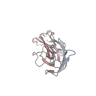 23979_7mta_H_v1-2
Rhodopsin kinase (GRK1)-S5E/S488E/T489E in complex with rhodopsin and Fab1