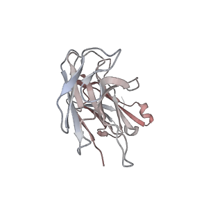 23979_7mta_L_v1-2
Rhodopsin kinase (GRK1)-S5E/S488E/T489E in complex with rhodopsin and Fab1