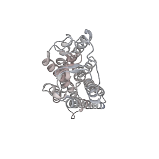 23979_7mta_R_v1-2
Rhodopsin kinase (GRK1)-S5E/S488E/T489E in complex with rhodopsin and Fab1