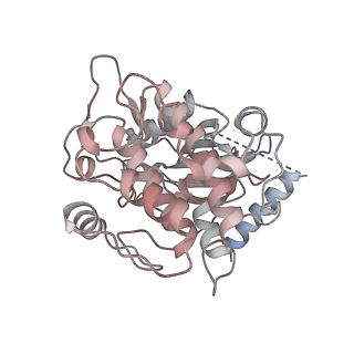 23980_7mtb_G_v1-2
Rhodopsin kinase (GRK1)-S5E/S488E/T489E in complex with rhodopsin and Fab6