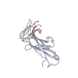 23980_7mtb_H_v1-2
Rhodopsin kinase (GRK1)-S5E/S488E/T489E in complex with rhodopsin and Fab6